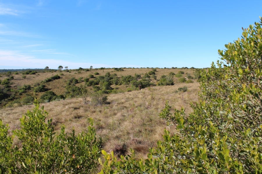 1 Bedroom Property for Sale in Bathurst Rural Eastern Cape